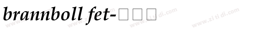 brannboll fet字体转换